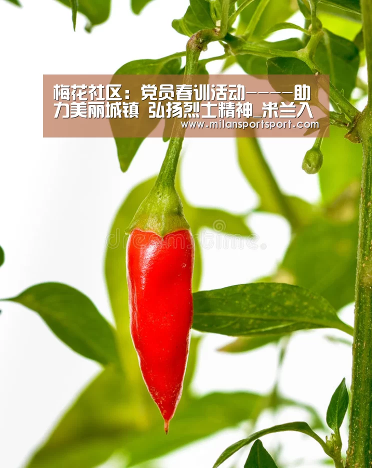 梅花社区:党员春训活动----助力美丽城镇 弘扬烈士精神_米兰入口(图1) 米兰官网