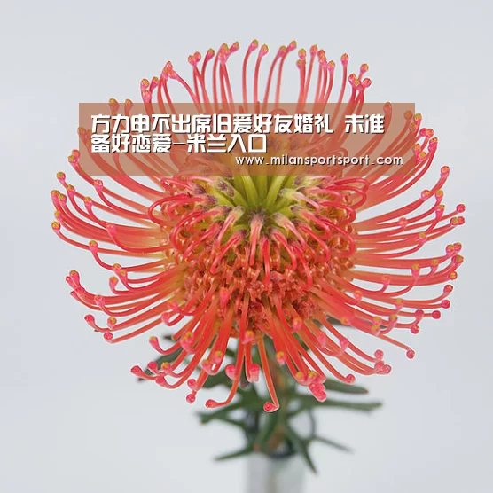 方力申不出席旧爱好友婚礼 未准备好恋爱-米兰入口(图2) 米兰电竞官网