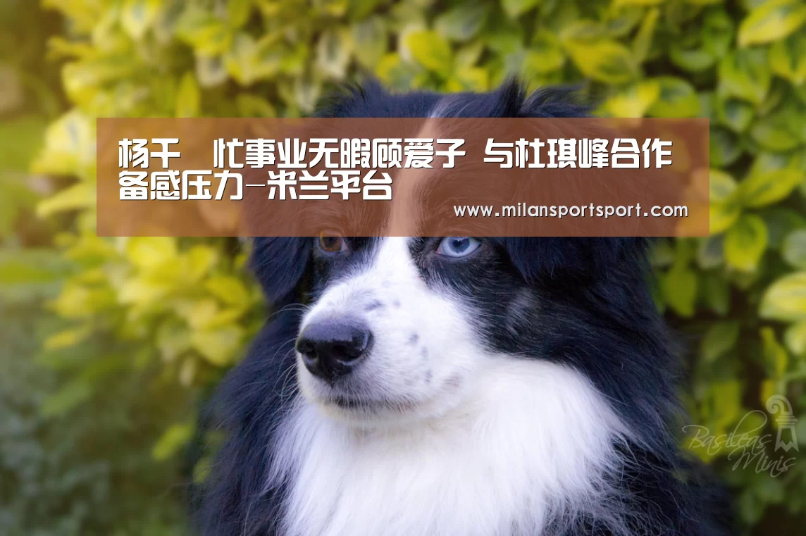 杨千嬅忙事业无暇顾爱子 与杜琪峰合作备感压力-米兰平台(图3) 米兰电竞官网