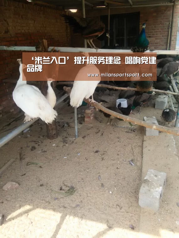 ‘米兰入口’提升服务理念 唱响党建品牌(图1) 米兰官网