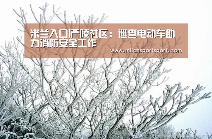 米兰入口|严陵社区:巡查电动车助力消防安全工作(图3) 米兰入口