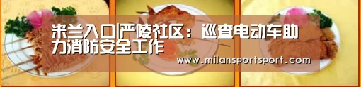 米兰入口|严陵社区:巡查电动车助力消防安全工作(图4) 米兰电竞官网